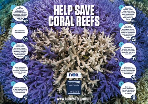 Five Things we learned on Coral.